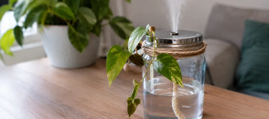 DIY-Luftbefeuchter mit Upcycling: Nachhaltige Projekte fuer Zuhause
